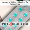 Kamagra 100Mg Utilisation De Gelée Orale 28